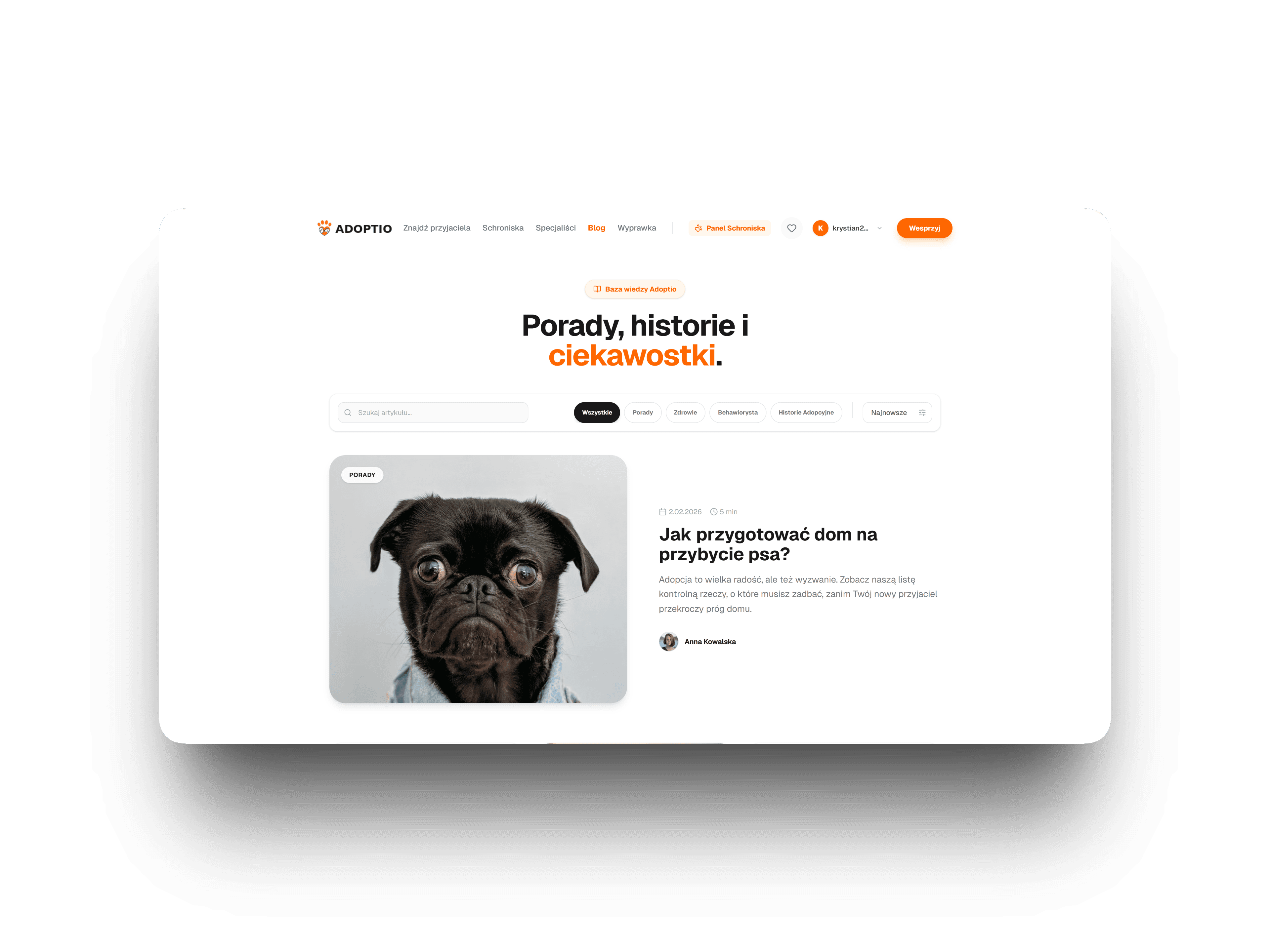 Adoptio blog section